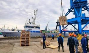 Фото: канал Александра Цыбульского в МАКС
